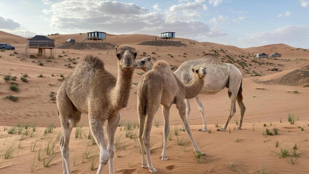 Oman Desert Private Camp Shāhiq Kültér fotó