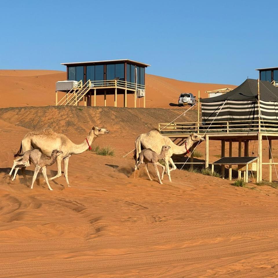 Oman Desert Private Camp Shāhiq Kültér fotó